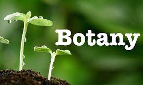 Botany